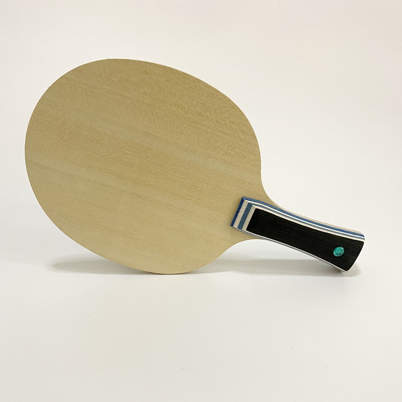 Lemuria VIS Carbon Fiber Tafel - Table Tennis Viscaria recensie en prijs