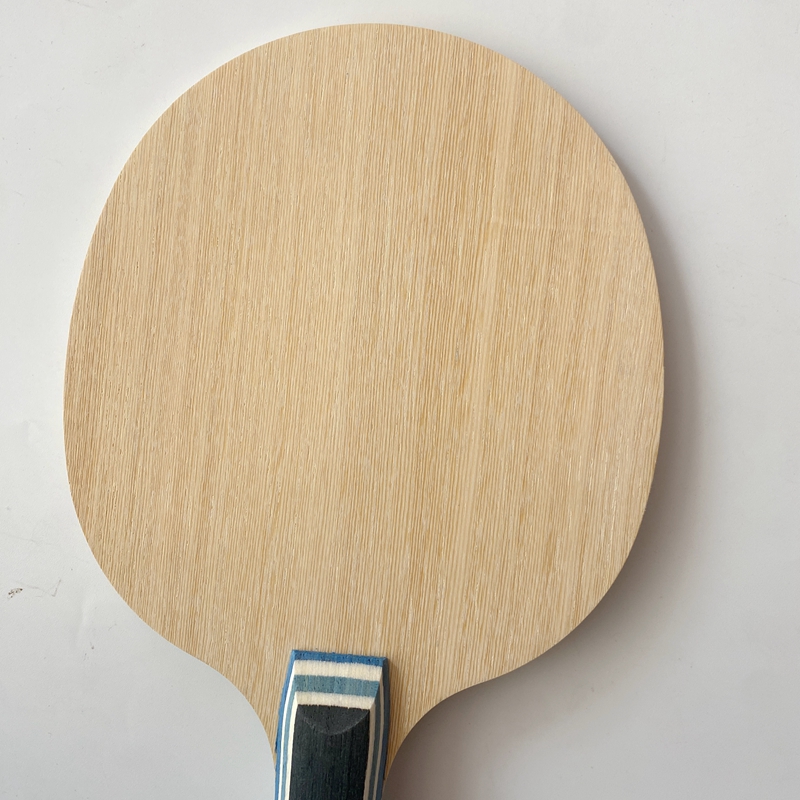 Lemuria VIS Carbon Fiber Tafel - Table Tennis Viscaria recensie en prijs