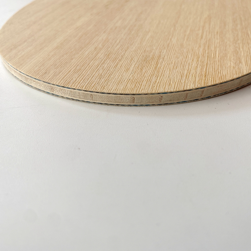 Lemuria VIS Carbon Fiber Tafel - Table Tennis Viscaria recensie en prijs